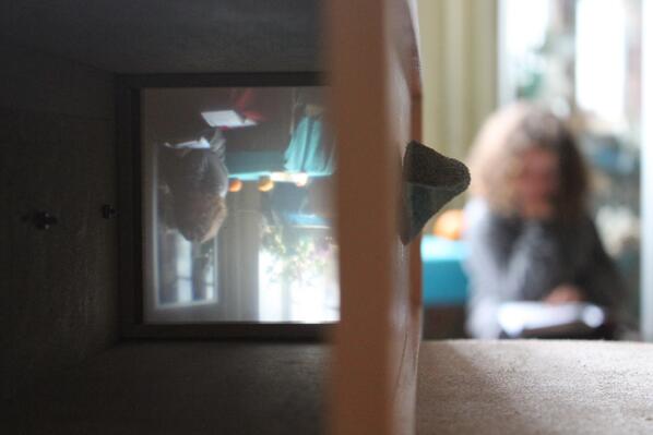 Here's what they see Sonnet 24 #Shakespeare <a href="/SonnetWalks/">Sonnet Walks</a>