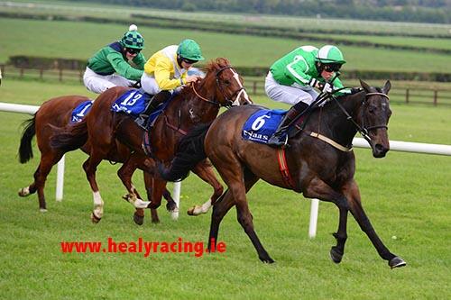 Doonard Prince &amp; <a href="/RossCoakley/">Ross Coakley</a> win 2nd <a href="/NaasRacecourse/">Naas Racecourse</a> for <a href="/LizDoyleRacing/">Liz Doyle</a> See healyracing.ie