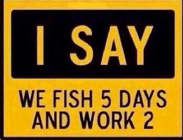 RednecksNews's tweet photo. This deserves endless retweets http://t.co/aUNIox6eGA