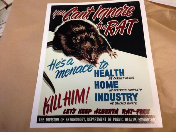 scodonnell's tweet image. "You can't ignore the rat!" @keithgerein may be the best gift giver ever!! #notevenmybirthday #ratfreealberta #bleck