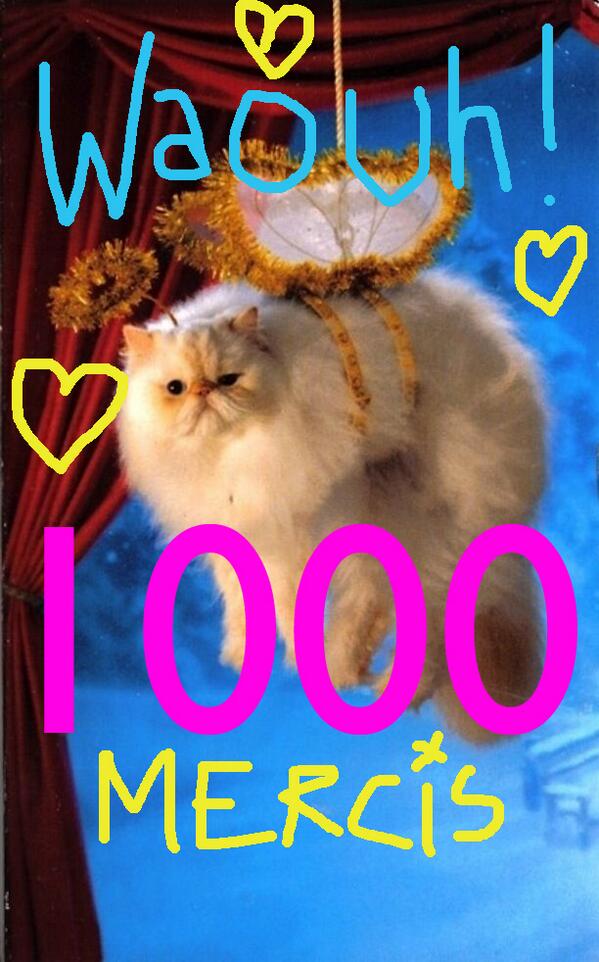 TaChatte_'s tweet photo. 1000 ! http://t.co/jShc9Qhi9J