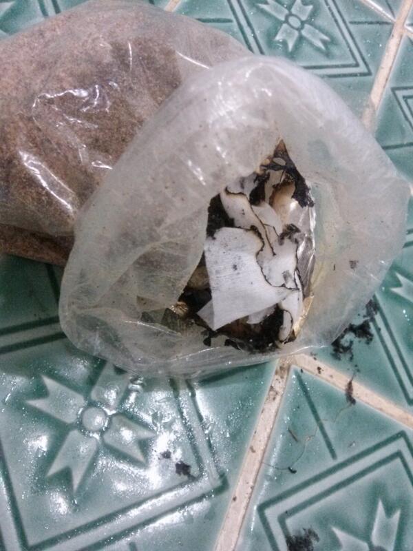 권 여 우비불도사영잉여의 글학사 (@minju080281) on Twitter photo 