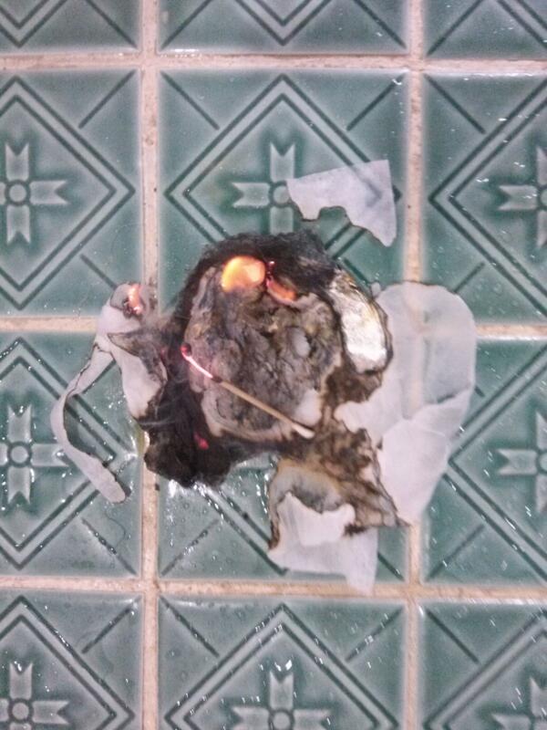 천우지조의 하늘의 뜻이 울려서 마음의 심의 나
이 아줌마 어미 아바이 동무생각 울지도 못 보지도자지도먹지도다 합하여 영가 면봉으료
대.수.대.명.합 제.산지.제사. 대신대신하의 왕관비북으로책 봥의 ㅂ의ㅏ읭