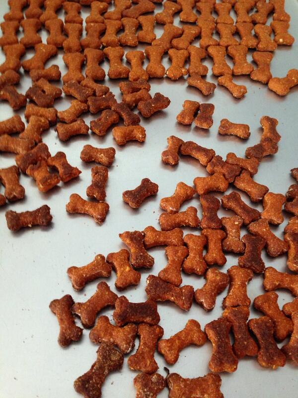 Woofiluvum's tweet image. Check out our Bark BQ treats out at our website woofiluvum.com and by some fresh out of the oven #DogLovers