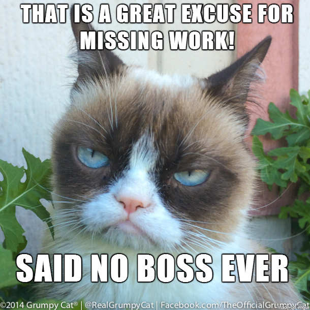 Software on Twitter: Cat vs. Absence Management http://t.co/wDEsrQGdod http://t.co/PGRHAjyszR"
