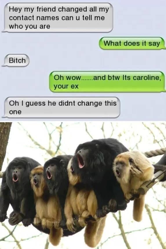 funnyorfact's tweet photo. BURN: http://t.co/0n1kVQaNja