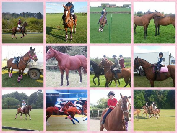 Amy Harper tweet media