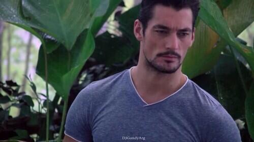 Oh my gandy <a href="/DGandyMexico/">DavidGandyMexico</a> <a href="/DjGFansManila/">DjGFansManila</a> <a href="/DavidGandyAsst/">David Gandy's Social Media assistant</a> <a href="/DavidGandyFR/">DavidGandyFR</a> <a href="/OhMyGandyFans/">OhMyGandy!</a> <a href="/DavidGandyTR/">David Gandy TR</a> @DJGandyArg