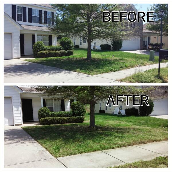 GREEN GUYS LAWN CARE (GREENGUYSLAWNC1) Twitter
