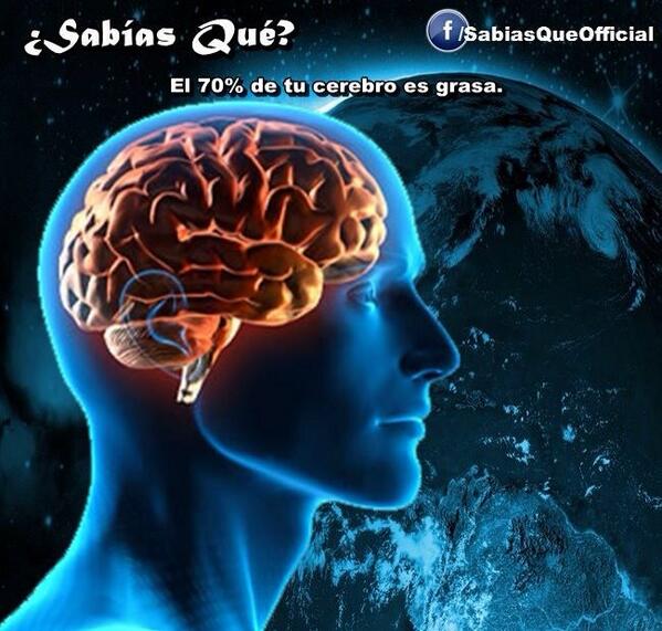 Sabias__que_'s tweet photo. #SabiasQue El 70% de tu cerebro es pura grasa http://t.co/P7FovyN3Cf
