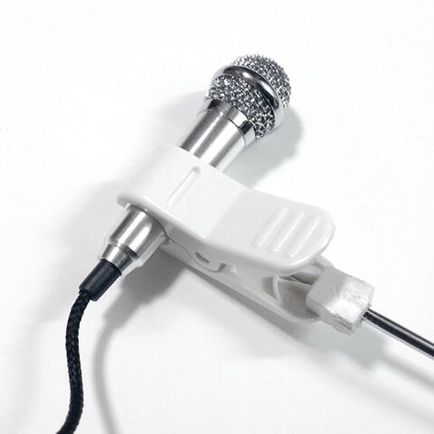 かりて 見落とす 抜け目のない ミニチュア マイク 昼間 サリー 本