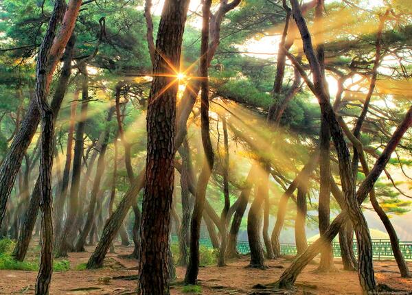 "Ray of Light" by SEO: bit.ly/1h8WUzF via <a href="/500px/">500px</a> #photography