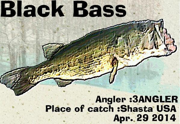 <a href="/3Angler/">3ANGLER</a> 
please RT if you like my Gyotaku.
play.google.com/store/apps/det…