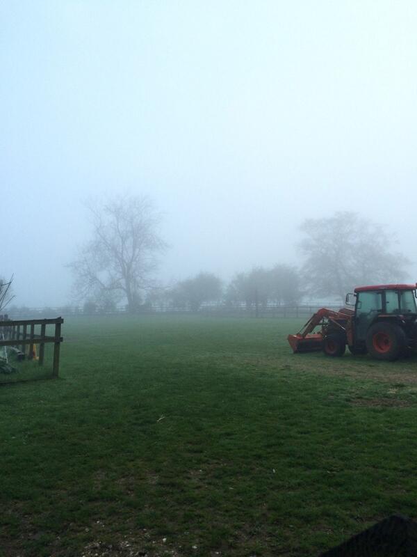 Good Morning Dell Farm :)