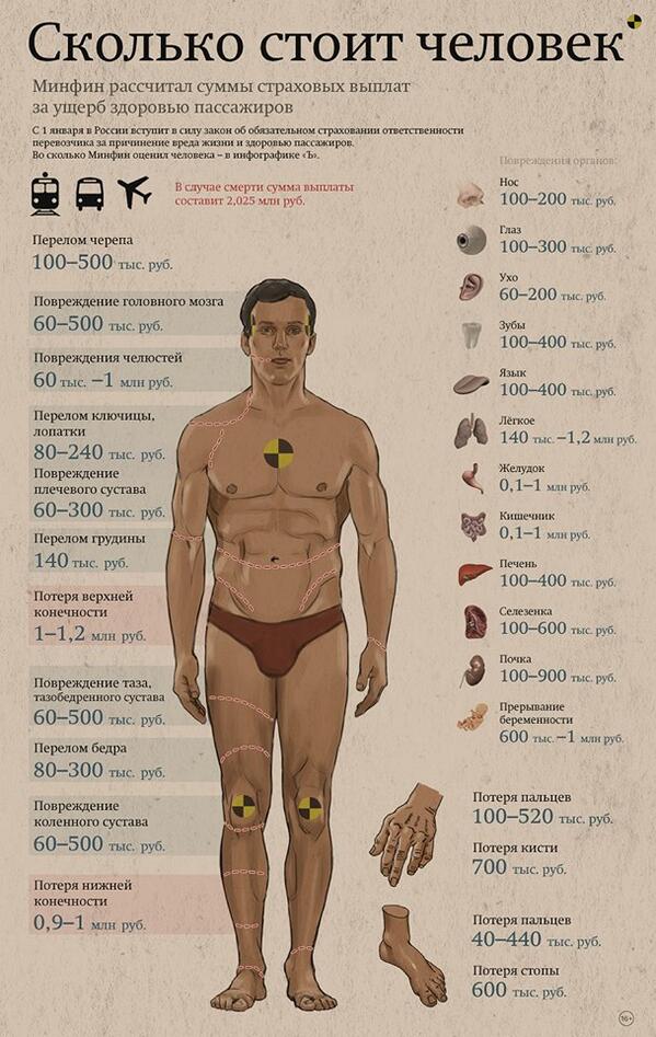 Сколько стоит человек в россии в рублях. Сколько стоят органы. Сколько стоят органы человека. Сколько стояи органы человек. Колько стоят органы человека.