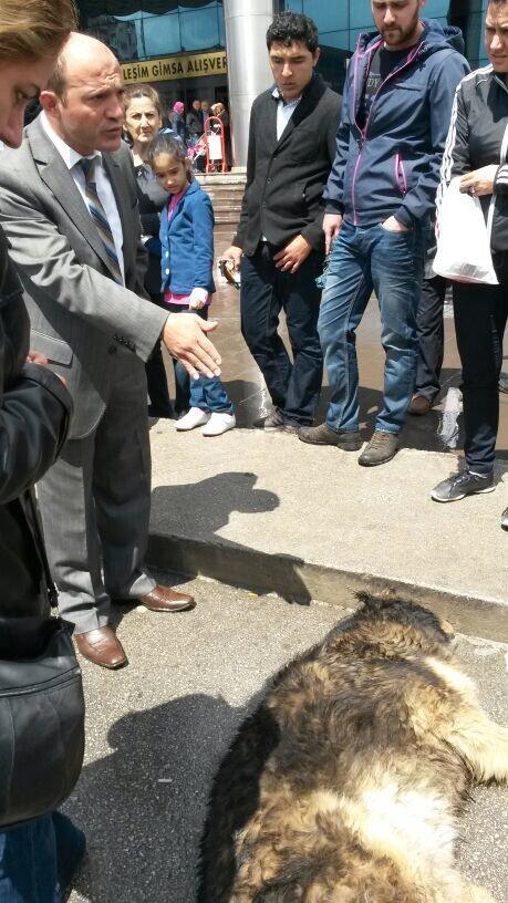 Zartum2's tweet photo. Allahını seven Allahın verdiği canıda sever !
3 Mayısta Batıkent Gimsa önünde vahşeti protesto için toplanıyoruz !!! http://t.co/Z7sAh2U3kf