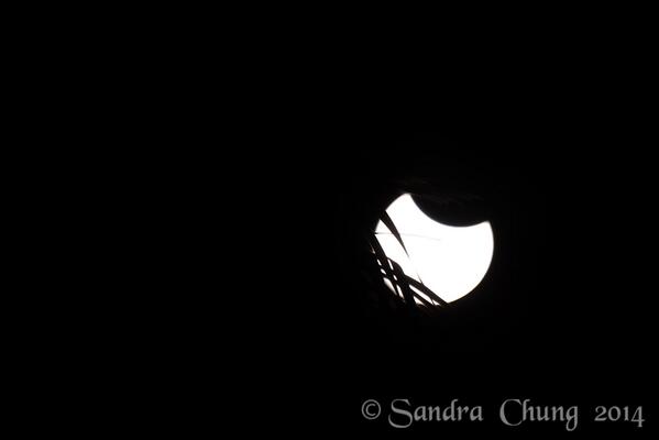 pagandancer's tweet image. #Eclipse2014 Canon5D3/100-400 ISLw/1.4x extender. #astrophotography @CanonAustralia