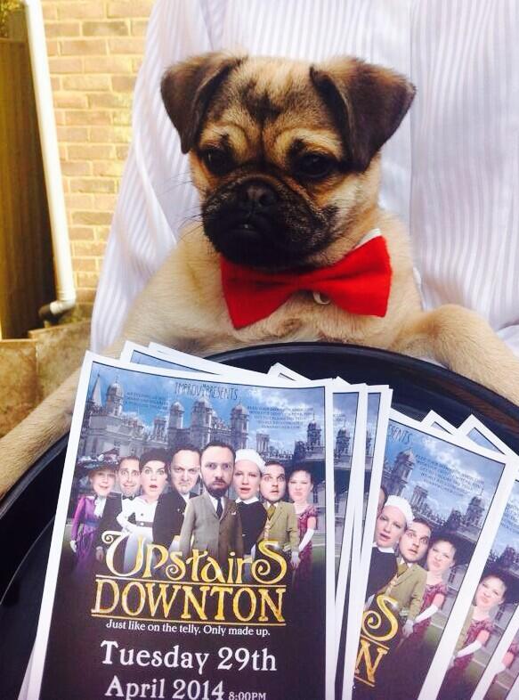all4improv's tweet image. You rang ma'am? @UpstairsDownton TONIGHT @TheGulbenkian theatre #dogbutler