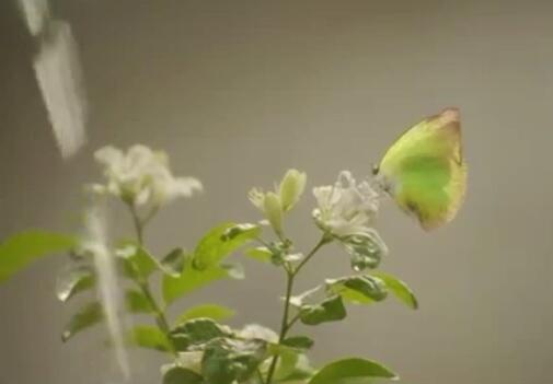 내가바꿀수있는것들은 바꿀수있는용기를...
내가바꿀수없는것들은 인정할침착함을...
그리고무엇보다도 그둘을분간할수있는지혜를!!!