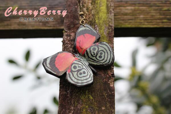 CherryBerryCS's tweet image. Ask me how to catch your own butterfly! @CherryBerryCS