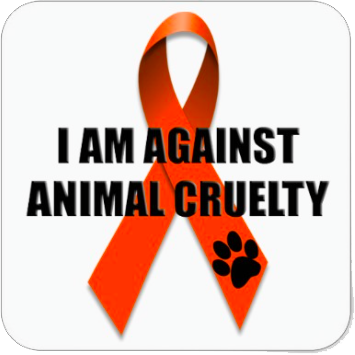 PetiaApp's tweet photo. RT If you are against animal cruelty! #StopAnimalTests #dogs #cats #animals http://t.co/aGE2LXaQLX