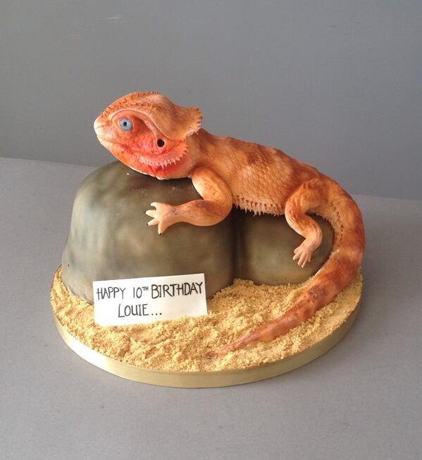 HBCakery's tweet photo. Introducing Bob the edible bearded dragon @HBCakery @BeardedDragons1 @Ellen_Chronicle #bearded dragon #edible #yum http://t.co/BhmTA7z3Ia