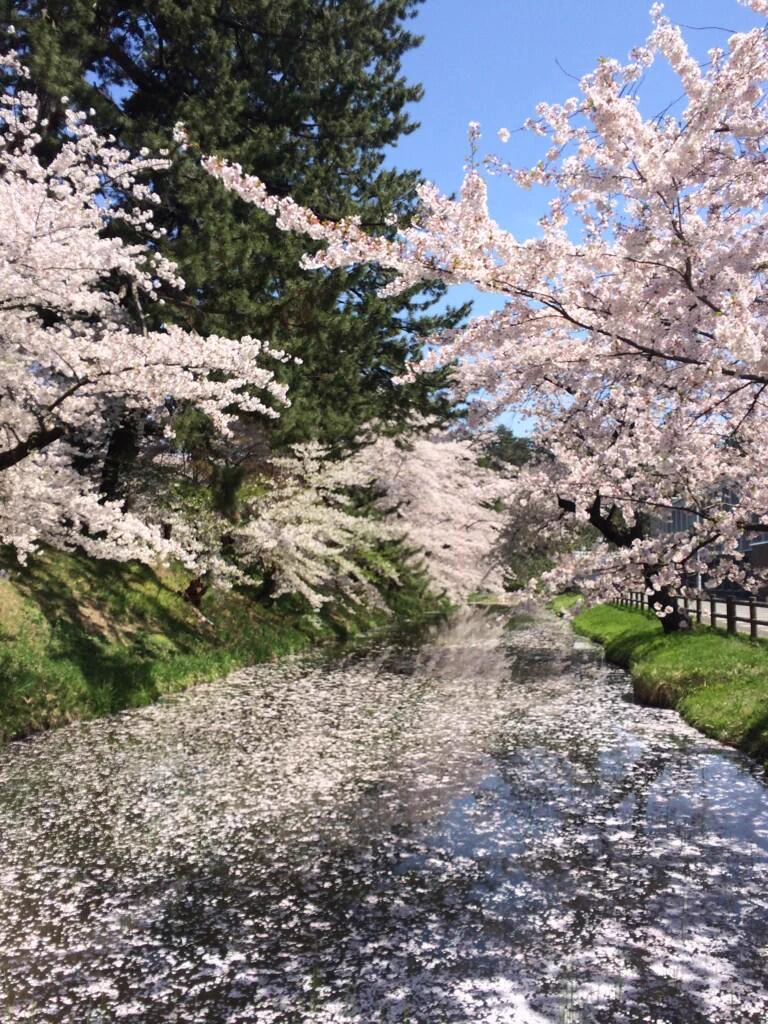 当時のメディア報道・掲載写真