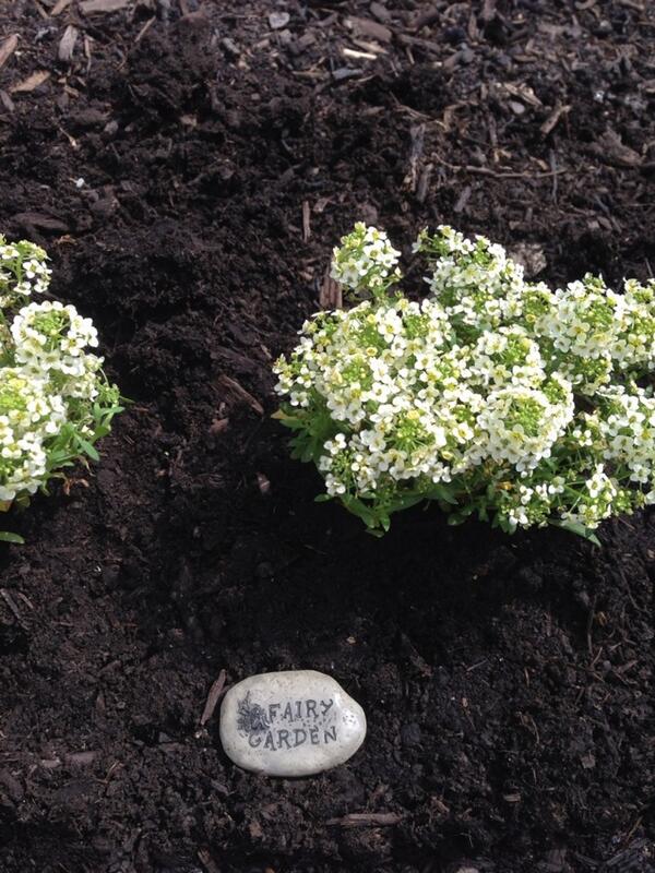 DrKathyGarneau's tweet photo. Something is happening in the school's garden!
#fairies #bsd106 #garden http://t.co/DezFH3PyPR