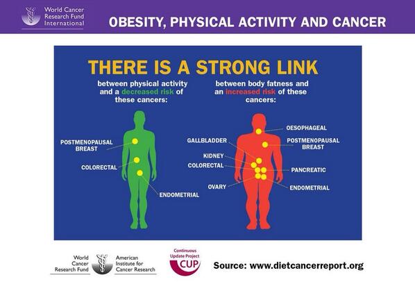docandrewmurray's tweet photo. Exercise obesity and cancer- amazing graphic http://t.co/nxmW0yev8U