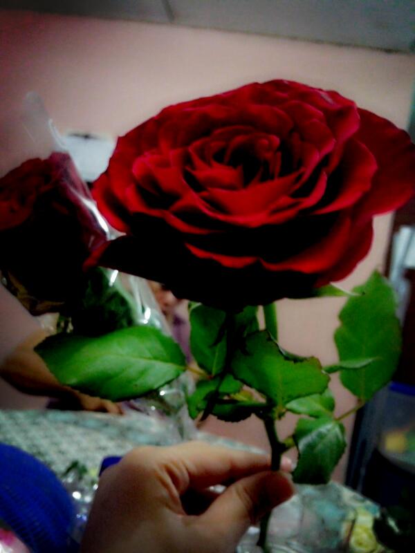 bunga_SEGARKU's tweet photo. @info_DURI http://t.co/d237xXjHCQ