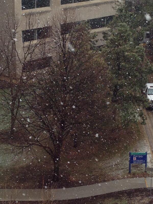 b_sorensen's tweet image. Snow globe snow coming down in #rochmn. #LifeInMN