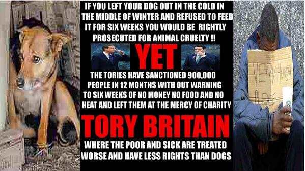 sally solihull tweet media