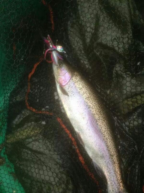 One of field staff members got the beautiful 2lb rainbow using our warhammer! #trout #wardoglures #warhammer