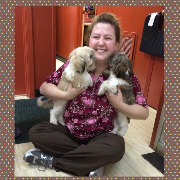 Suburbiavet's tweet photo. #puppylove #Shihtzu #happy http://t.co/MzzrqkM3C7