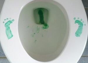 getflushd's tweet image. Did anyone see where that leprechaun went?  He never #Flushd!  #FlushdinIreland