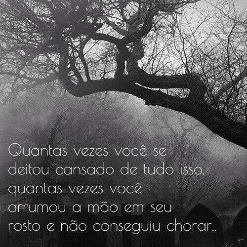 RodolphoSaimon's tweet image. 