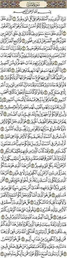 طراد سندي tweet media