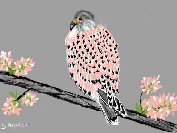 Regcas's tweet image. I made this with @sketchclubapp! My first bird painting ever @MeanGeri @akred5 @DoctorCupcake @orv177e @vipvip_apel