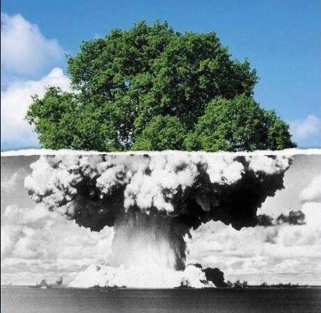 HechosEnElMundo's tweet photo. La vida y la muerte en una misma imagen. http://t.co/kdjqCYHoIJ