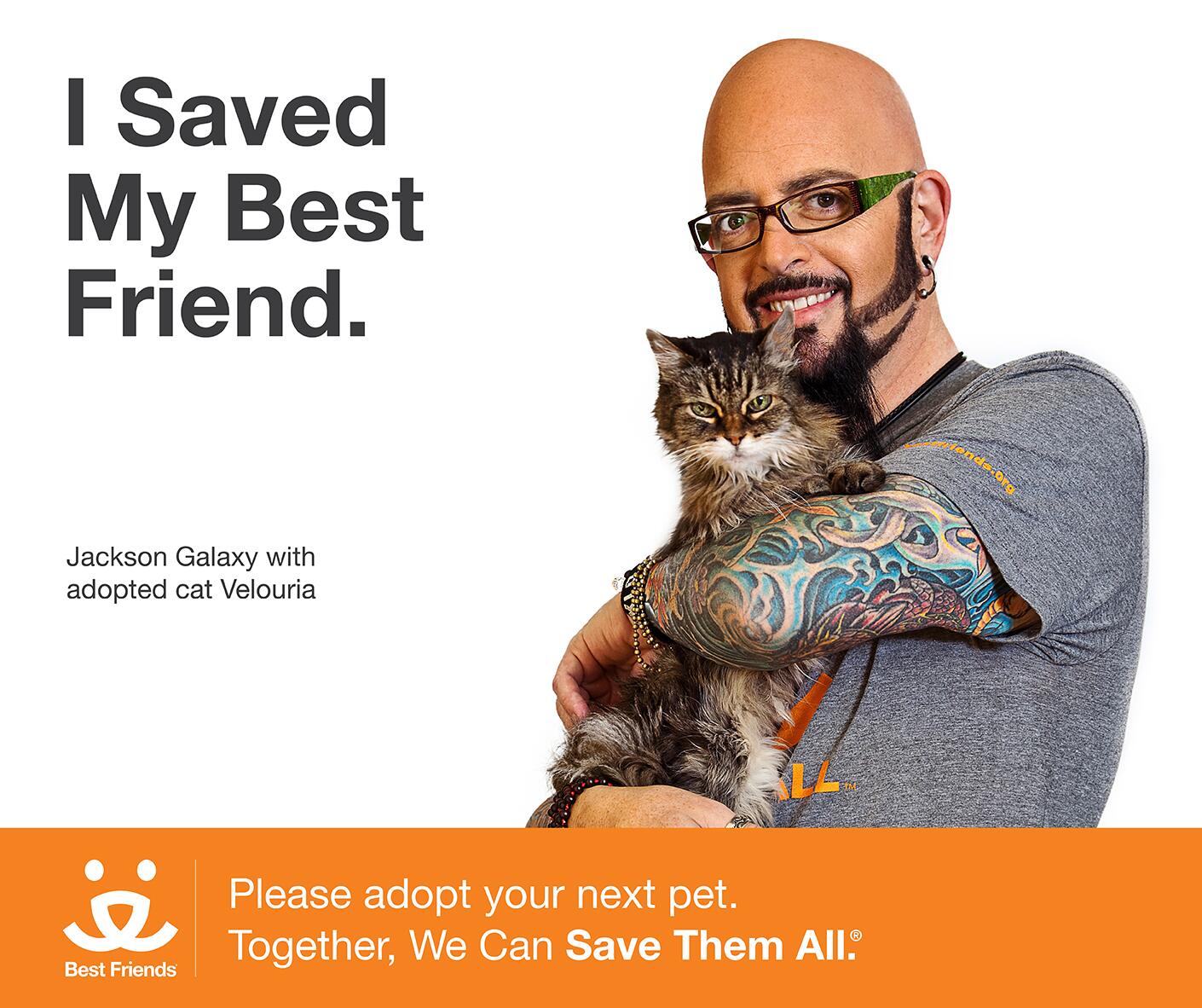 Jackson Galaxy on Twitter TeamCatMojo sheltercats
