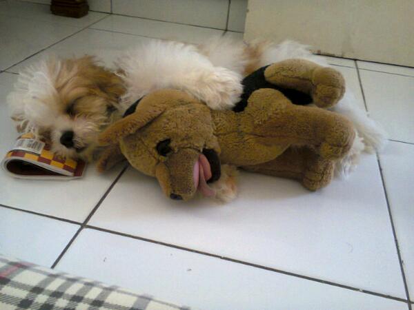 StevenTortera's tweet photo. http://t.co/qQo0JlI5G8