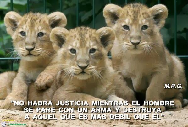 ReMike09's tweet photo. 29-abril, #DiaDelAnimal
 http://t.co/NmXJY0y2Vd