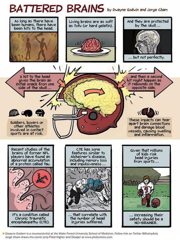AiSportPlatform's tweet photo. How Head Injuries Damage the Brain. Educational #comics for your head! Illustrated by @phdcomics! #cte #concussions http://t.co/38BgZugF5B