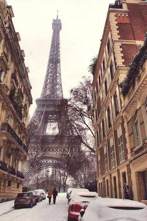 NaturPictures's tweet photo. Invierno en París. http://t.co/KNUiC1Ndyu