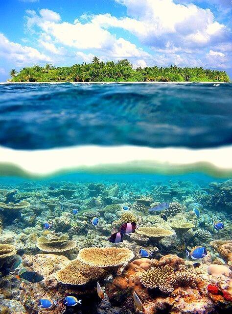 Paisajes_Es's tweet photo. Dos mundos en una foto. Polinesia Francesa. http://t.co/LPKf39tqKE