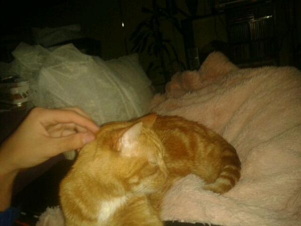 GuilleSubiza's tweet photo. Lo mejor de haber vuelto de Holanda. http://t.co/0ow4b5Mjn3