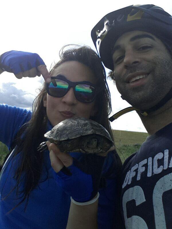 mude90's tweet photo. La  tortuguita llego antes que nosotros wey! http://t.co/zXZc5E9rVD
