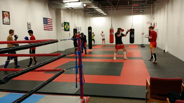 Garfield MMA tweet media