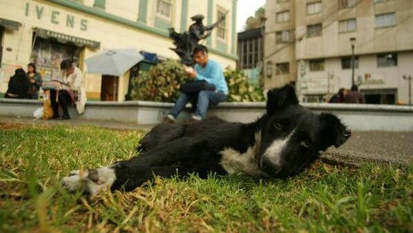 24 Horas tweet media