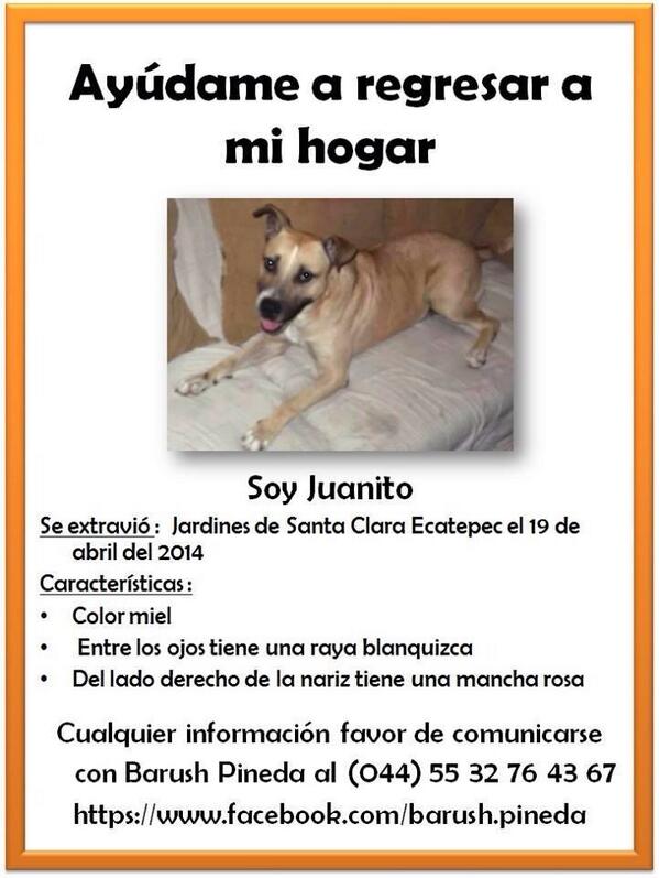 <a href="/DefensaAnimalMx/">Defensa AnimalMexico</a> ayúdame a encontrarlo! Zona Ecatepec! Se perdió o lo robaron! RT